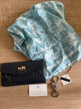 Coach Blue and White Signature Carriage Silk Scarf